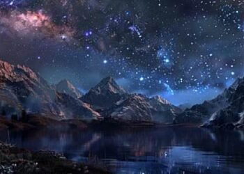 Immensheid